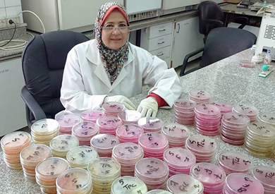 الدكتور نعمات بسيوني رئيس معمل الميكروبيولوجى والمستخلصات النباتية بمركز البحوث الزراعية